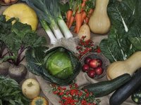 Brojimo šlepere (13): Virovitička tvrtka Brana u zadnja dva tjedna poslala 10 šlepera na EU tržište