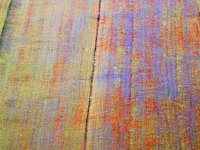 Površine pod cvijećem i ukrasnim biljem u pet godina prepolovile se, gotovo sve cvijeće uvozimo iz Nizozemske