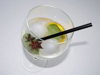 Bivši piloti u mjesec dana 'uzletjeli' izvorno hrvatskim craft ginom