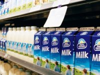 Uvozno mlijeko ruši domaću industriju
