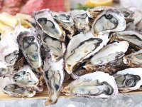 Nema više norovirusa, kamenice mogu na tržnice