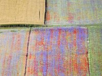 Sporim cvijećem do održivog cvjećarstva