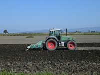Tko kaže da traktor nije za cure? Vedrana Poletar ostala je u Slavoniji i u polju sagradila unosan biznis