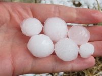 Ništa od žetve ove godine, a ni berbe voća: Požeški poljoprivrednici zbrajaju štete