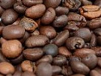 Softverom za pripremu kave ušao u posao s Lavazzom, sada cilja Emirate