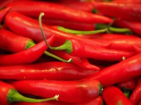 U tijeku je intenzivna berba paprika: Svaki dan kašnjenja smanjuje zaradu