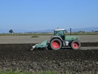 Počela sjetva ozimina: Bez jesenske gnojidbe, a sjeme - tavanuša