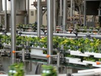 Zašto bacati voće kad se od njega može napraviti zanimljiva poslastica